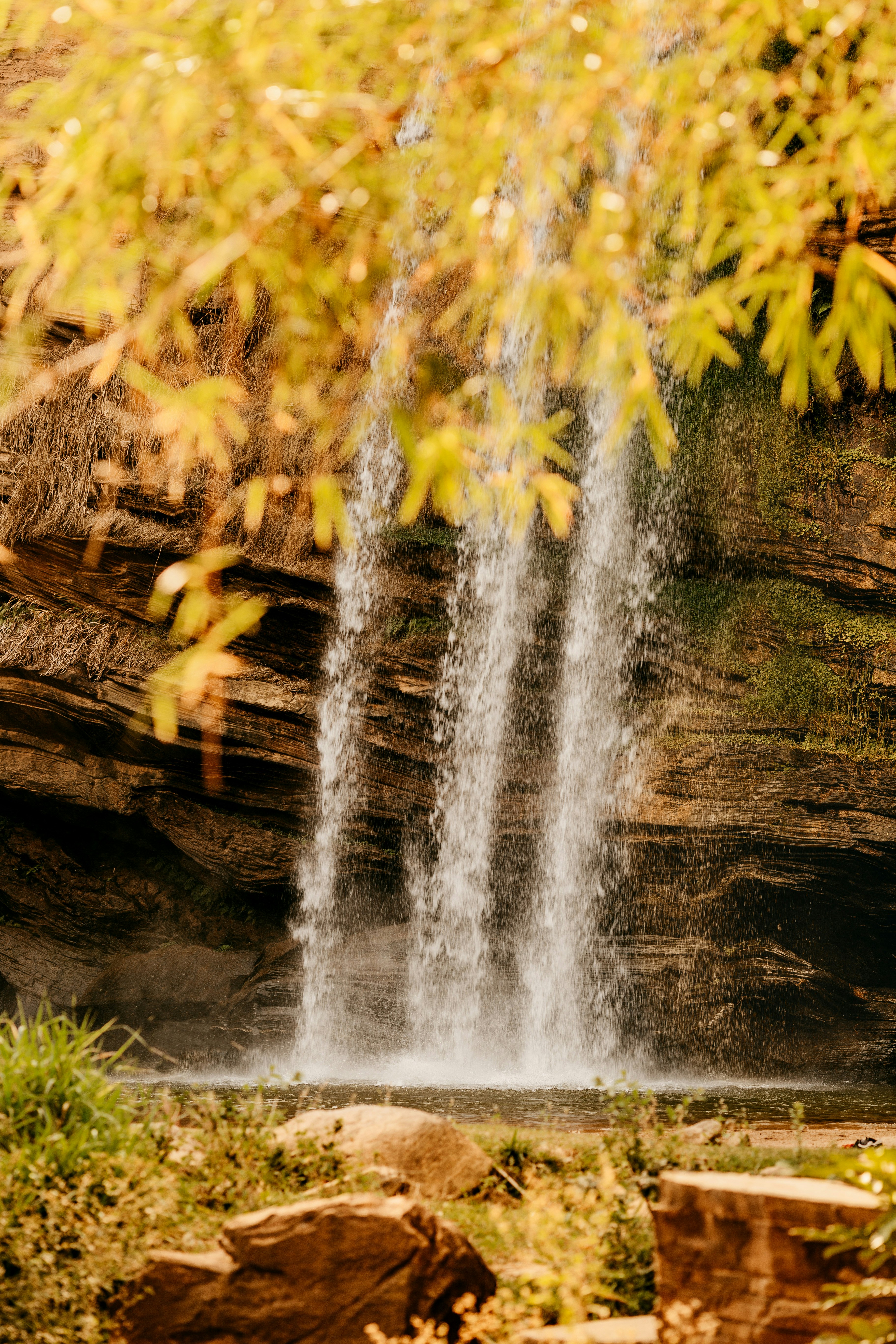 time lapse photography of flowing waterfall